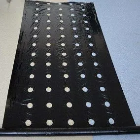 4 Application 4(001).jpg